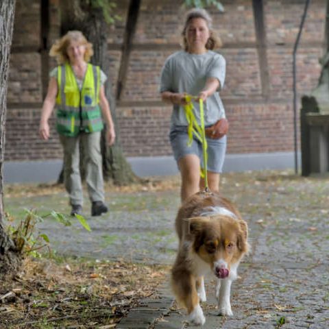 Die Trainer begleiten das Mensch-Hund-Team während des Trails und geben dabei Instruktionen.