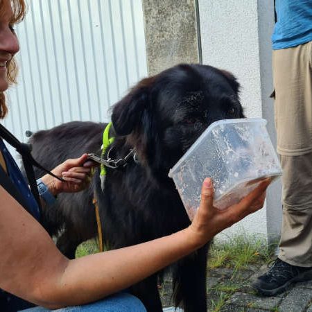 Nach dem Trail gibt es etwas Leckeres zur Belohnung